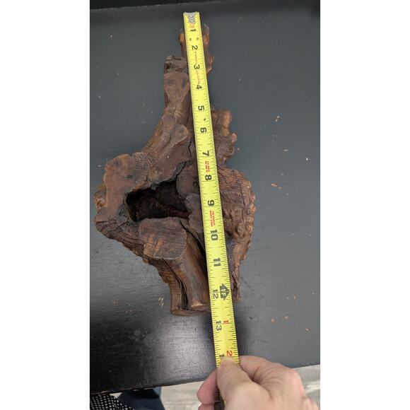 Burl Wood Hardwood From Arizona desert Manzanita Large Pen Sculpture Section - Picture 7 of 8